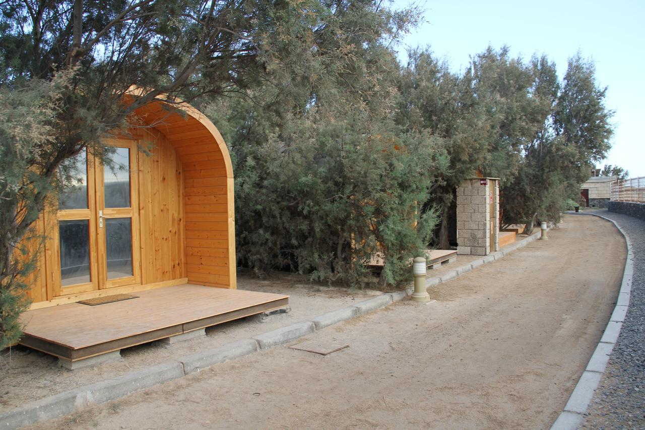 Eco-Wooden Houses Camping Montana Roja El Médano Exterior foto